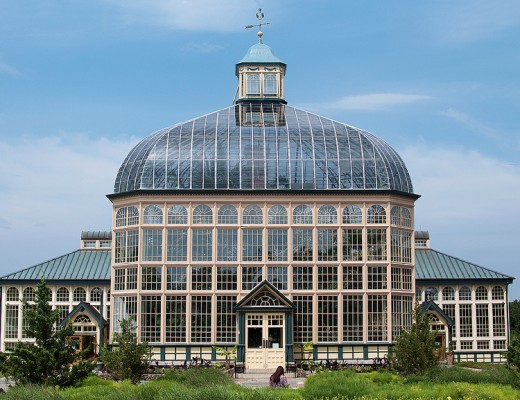 Conservatory in Baltimore