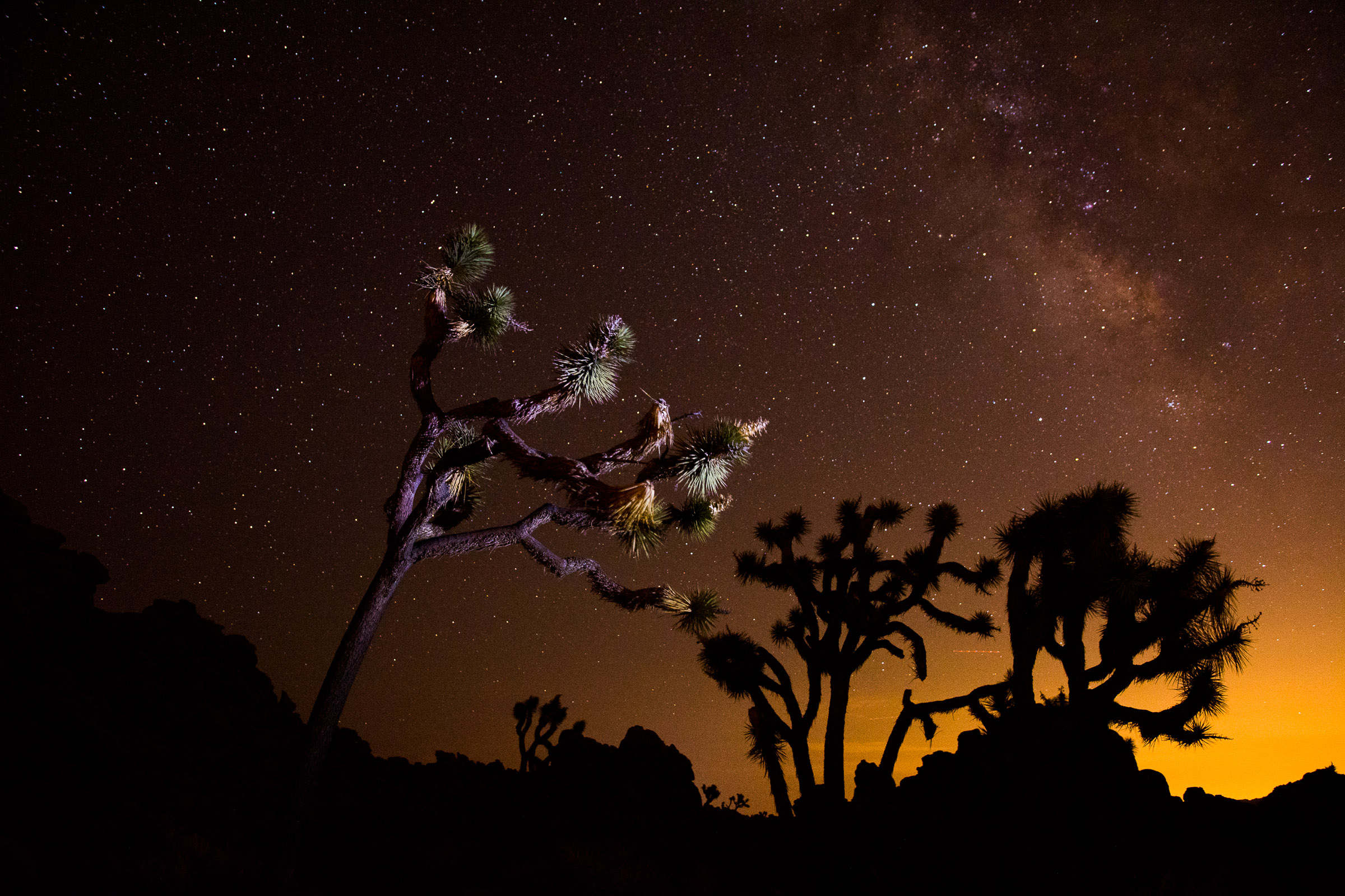 JoshuaTreeNPNight-11