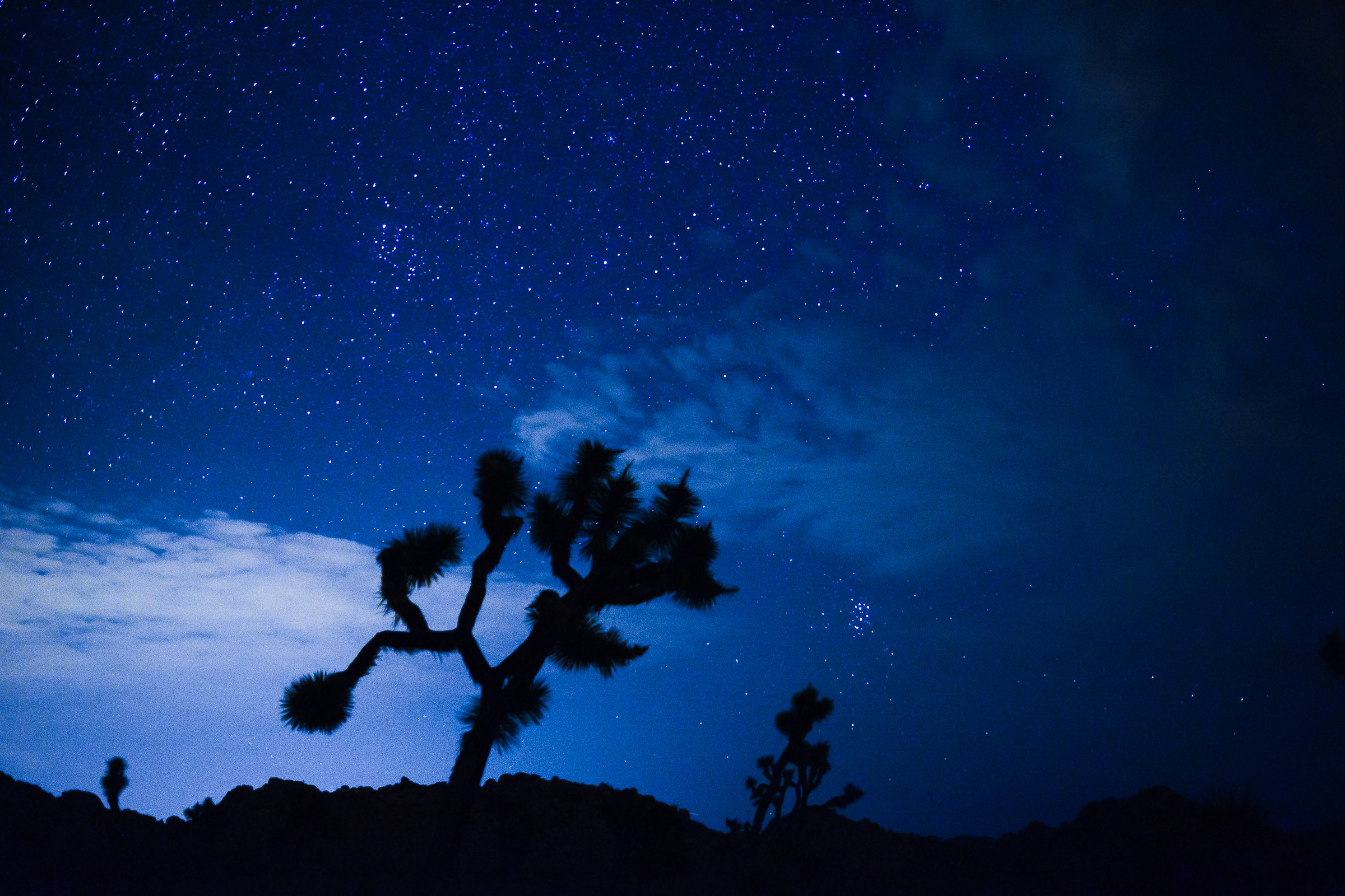 JoshuaTreeNPNight-12