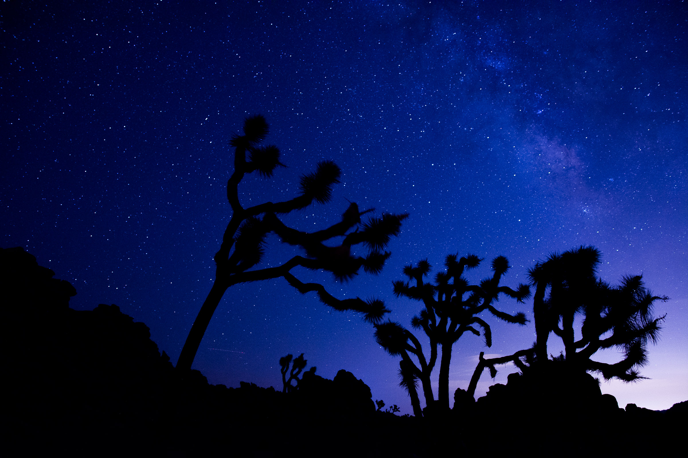 JoshuaTreeNPNight-7